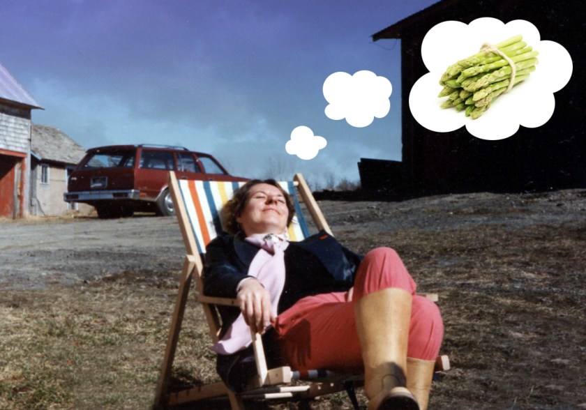 Ferme Irène rêve d_asperges